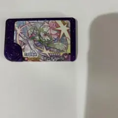 ポケモンフレンダサーナイト トレジャーピック