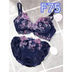 Sayaka 美匠 F75・L ブラジャー ショーツ 上下セット