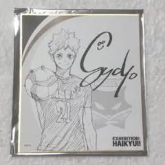 ハイキュー 日向翔陽 色紙 ハイキュー展