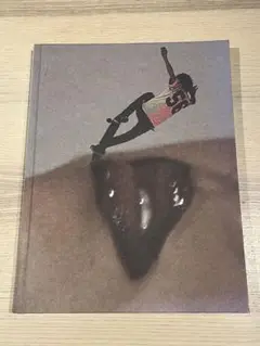 David Sims Supreme Book 写真集