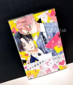 「君はなんにもわかってない!」 結木てふ