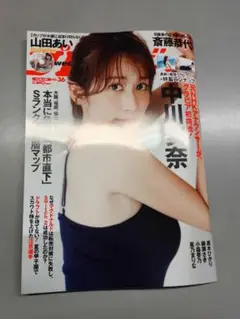 プレイボーイDVD付