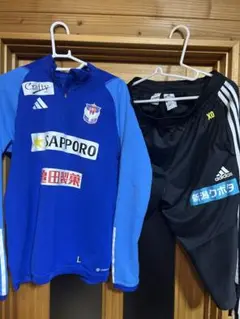 アルビレックス新潟練習着