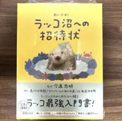 ラッコ沼への招待状