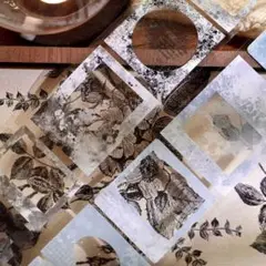 【Yi119】壹洱 / 边框集 pet 1巻6m