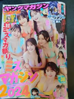 ヤングマガジン 2024 45号