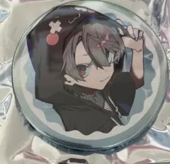 Crazyraccoon CRフェス ととみっくす 缶バッジ ホロ