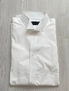 Item thumbnail for item 0642e7d5-9ce3-4bce-80d5-536c9a7281fe