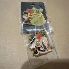 ミニーマウス ピンバッジ 2個セット