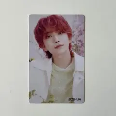 SEVENTEEN ALWAYSYOURS セブチ トレカ ジョシュア