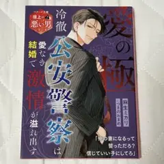 愛の極～冷徹公安警察は愛なき結婚で激情が溢れ出す～【極上の悪い男シリーズ】