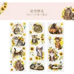 Item thumbnail for item 312501ae-babc-435e-a387-c9116ceb0e40