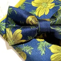 Item thumbnail for item 360287c5-4a15-4758-ad41-85af0e71ed5c