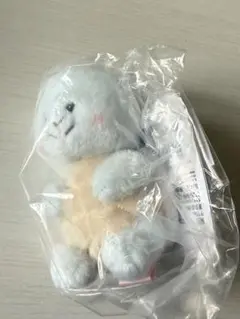 ゼニガメ マスコット レポートかいてね! ポケットモンスター ポケモンセンター