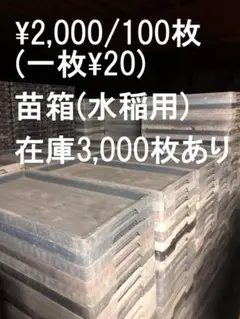 水稲育苗箱110枚 引き取り限定 10枚 国産 水稲用 育苗箱 ダイヤカット 900穴 敷紙不要 シB 本州