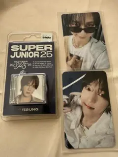 SUPER JUNIOR SMini YESUNG（トレカ付）