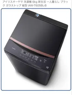 【美品】アイリスオーヤマ 二槽式洗濯機 6kg IAW-T605
