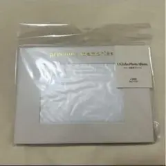 エコー写真アルバム　スリーコインズ
