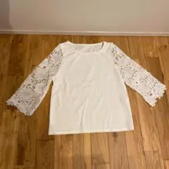 Item thumbnail for item 244eb55d-503b-480c-8d10-8d3910c05c23