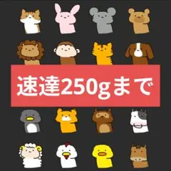 速達250gまで