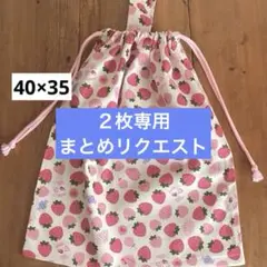 mini様 リクエスト 2点 まとめ商品　大きめお着替え袋　体操着袋男の子女の子
