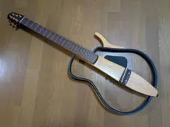 Item thumbnail for item 37667349-8149-4115-acaa-cc4b6ffad408