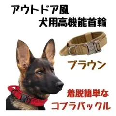 L 大型 中型 犬 首輪 ベージュ ブラウンタクティカルミリタリーコブラバックル