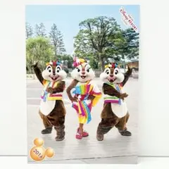 ディズニー スペシャルフォト 2016 彩涼華舞