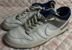 【廃盤品】NIKE ナイキ　スニーカー　ダンク　プレミアム　ジョーダン