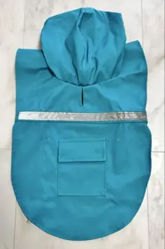 Item thumbnail for item 24cf6230-f2bb-4ec8-a99b-325d13ce2c98