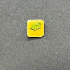 【アンティークピンバッジ】⑤⑧ ピンバッジ ビンテージVOSGESピンズ レトロ