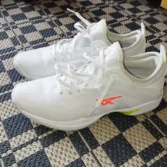 ASICS GLIDE NOVA FF3 + ケース +　シューズキーパー