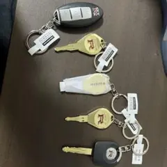 Item thumbnail for item 58e0918a-3dc3-445a-b24c-e932ed042722