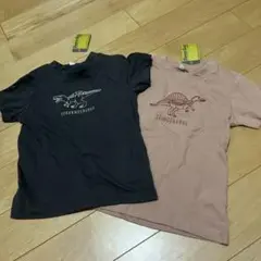 新品タグ付き　恐竜Tシャツ　2枚セット