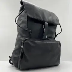 【希少】ザネラート イルド バックパック ブルー系 オールレザー 保存袋付属 希少】ザネラート イルド バックパック ブルー系 オールレザー
