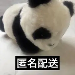 パンダのぬいぐるみ 小型