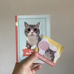 もちまる　ノート　付箋　猫