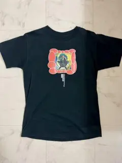 FRUIT OF THE LOOM ヴィンテージ Tシャツ Mサイズ