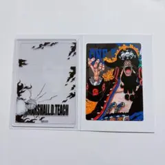 ONE PIECE キャラカードコレクション カードケース付き 黒ひげ ティーチ