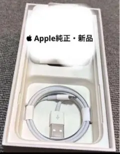Apple純正Type A ライトニングケーブル