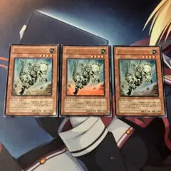 遊戯王 パキケファロ VB10 ウルトラ 3枚