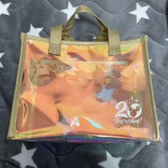 東京ディズニーシー　20周年スーベニアバック