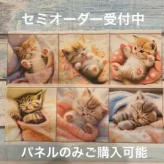 レアパネル　ネコちゃん柄Ｄセット