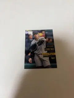 梅野隆太郎 BBM