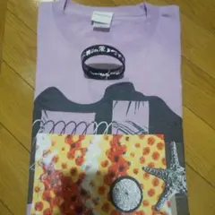 Item thumbnail for item 1836e447-1789-4fb0-84ad-a01c104c57a2