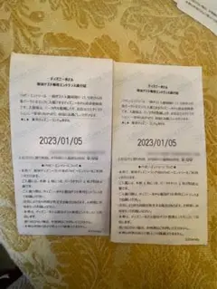 ディズニーランド アーリーエントリーチケット