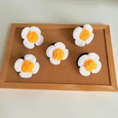 花形マグネット 5個セット