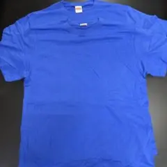 淡い青 Tシャツ 2枚セット