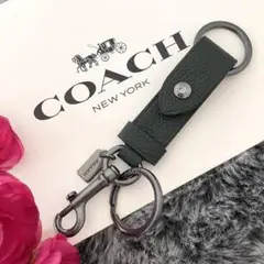 Item thumbnail for item 70d75d8e-fb7a-4196-820a-3a3dff394f1a