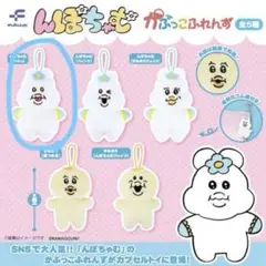 んぽちゃむ　かぷっこふれんず